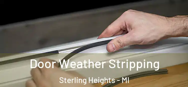 Door Weather Stripping Sterling Heights - MI
