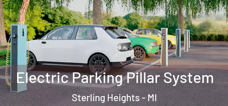 Electric Parking Pillar System Sterling Heights - MI