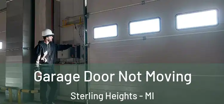  Garage Door Not Moving Sterling Heights - MI