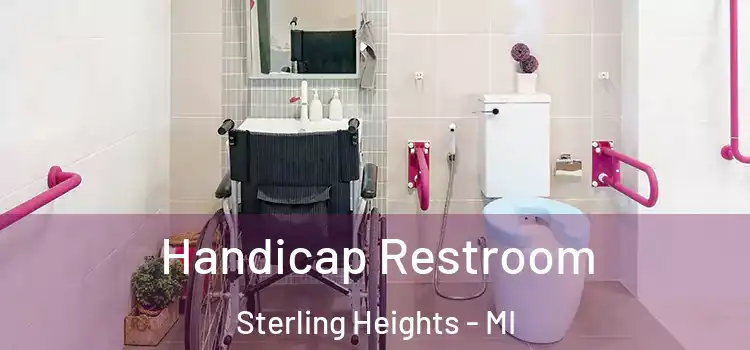  Handicap Restroom Sterling Heights - MI