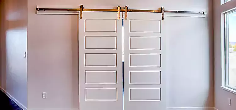 Glass Barn Door with Installation Hardware Kit Sterling Heights