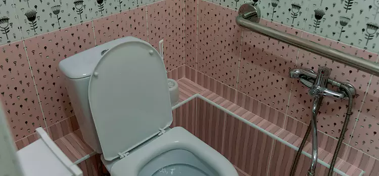 Meeting Diverse Needs With Accessible Restroom Solutions in Sterling Heights, MI