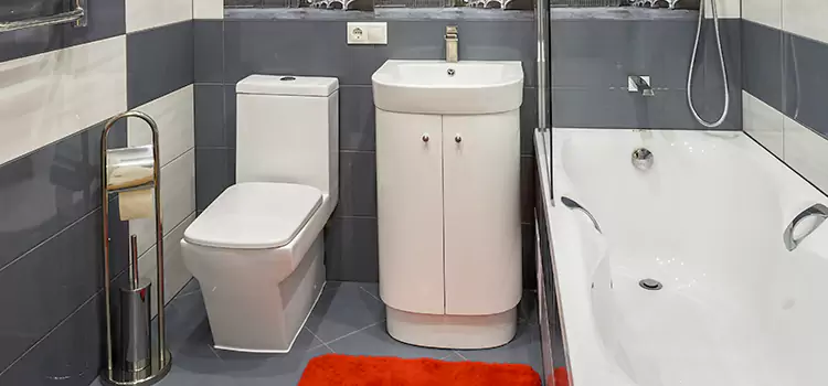 Hansgrohe Shaving Mirror Sterling Heights