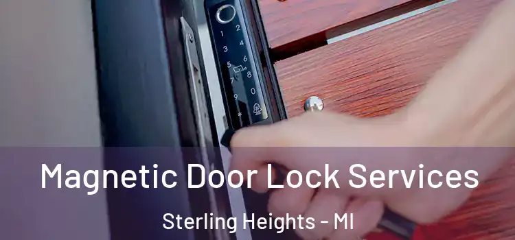 Magnetic Door Lock Services Sterling Heights - MI